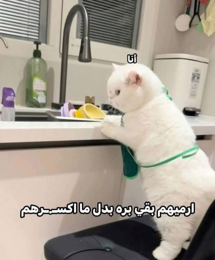 لما اكون خلصت غسيل المواعين وبلاقى حدا جايبلى اطباق وكوبايات ثاني !! 😭😒