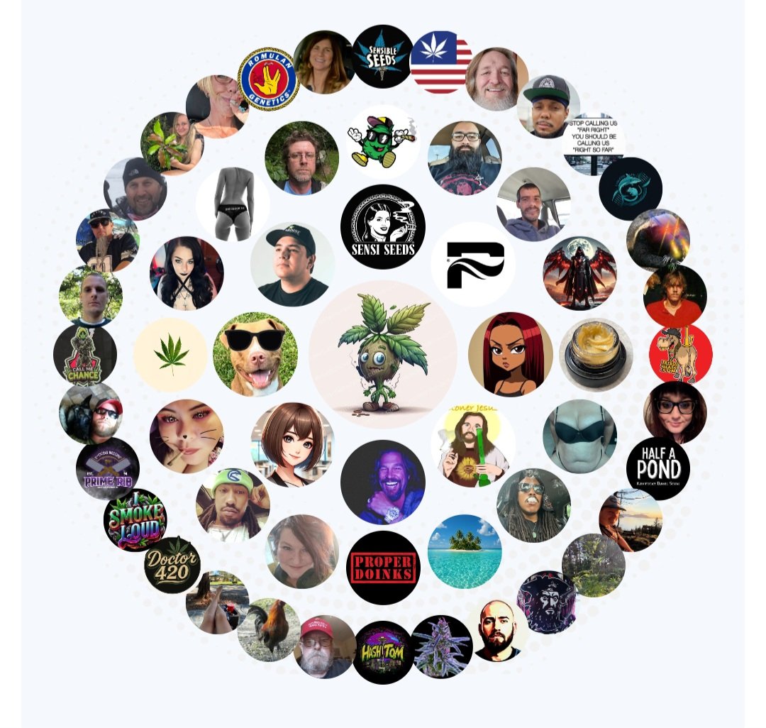 Bandit Grows 🌱🌱(Doge).. tweet media