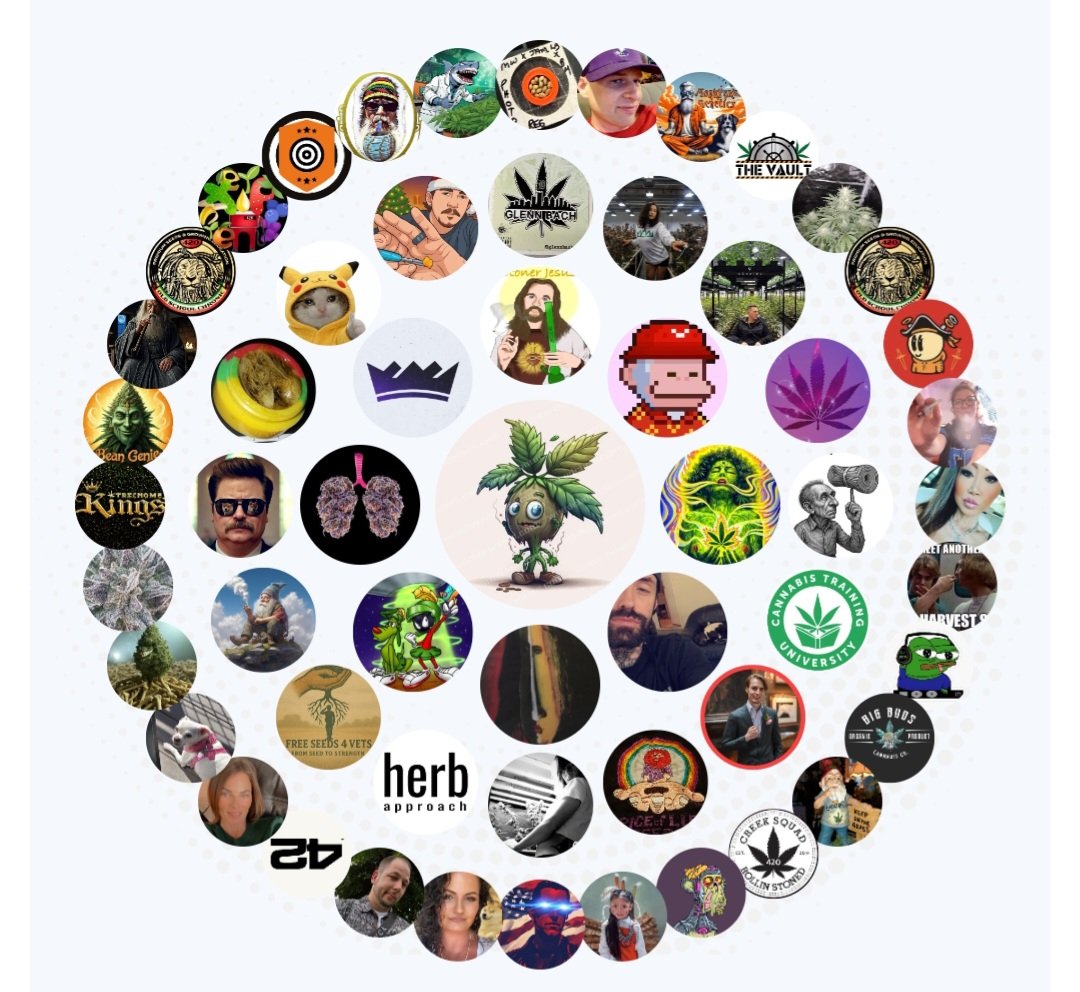 Bandit Grows 🌱🌱(Doge).. tweet media