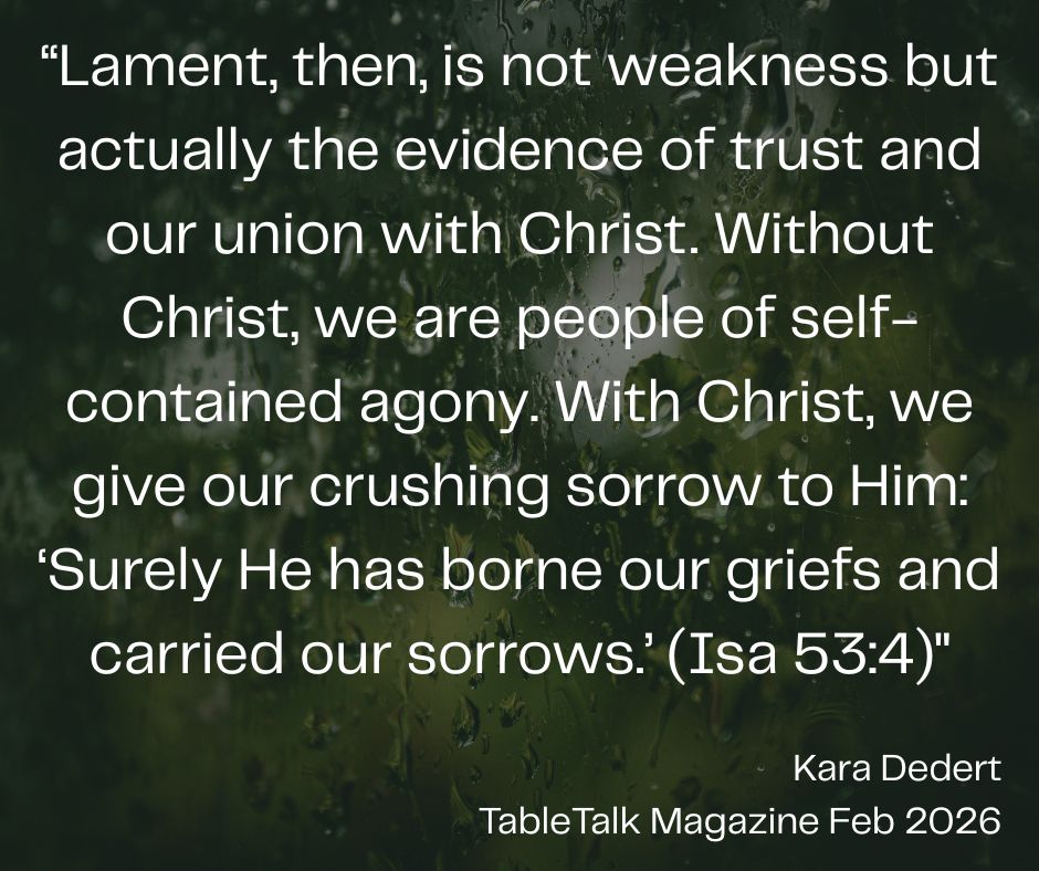 Andrew Gerber tweet media