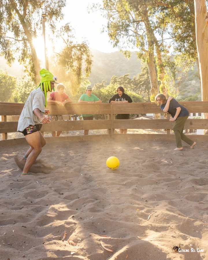 Catalina Island Marine Institute tweet media