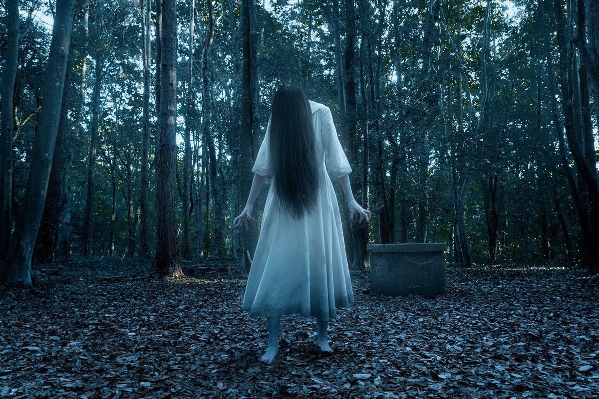 🧲わんちゃんもどき🧲 tweet media