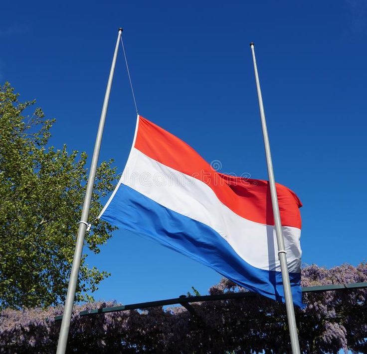 lientjeweits's tweet photo. @SGPnieuws De vlag kan naar buiten #halfstok. Niks meer niks minder de doodsteek voor vele hardwerkende mensen de ouderen enz. Kansloos https://t.co/bqry72qsaX