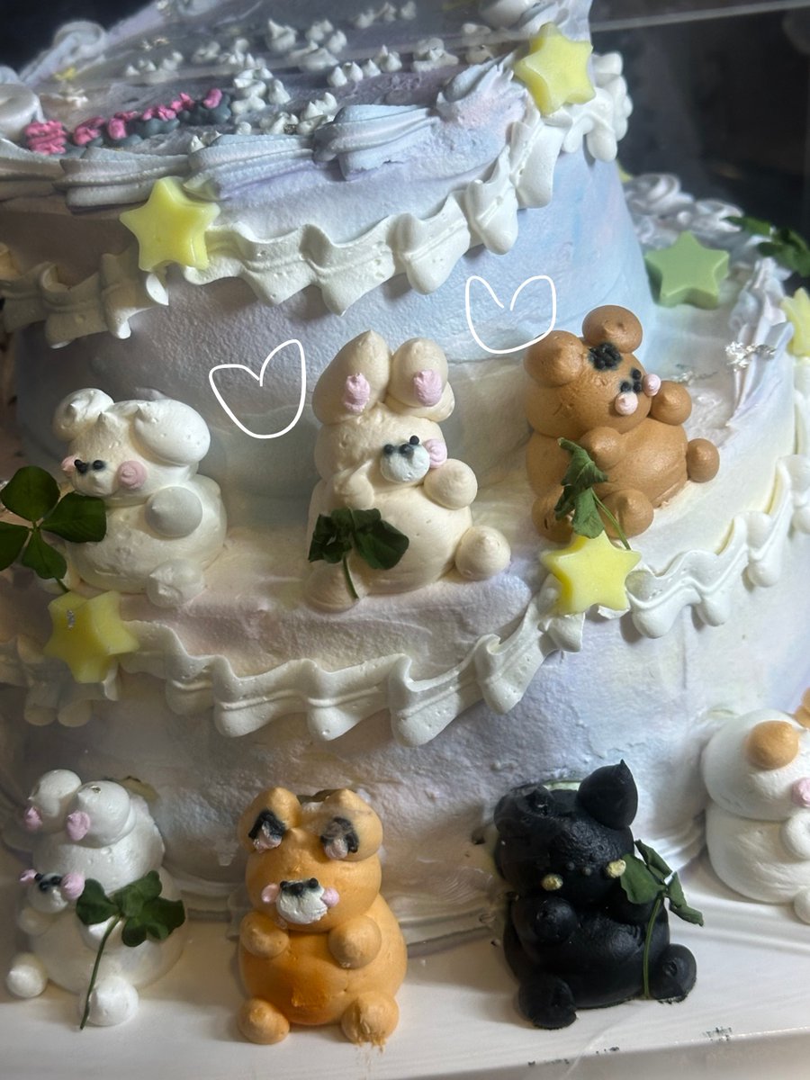 CLASS:y(클라씨) Member tweet media