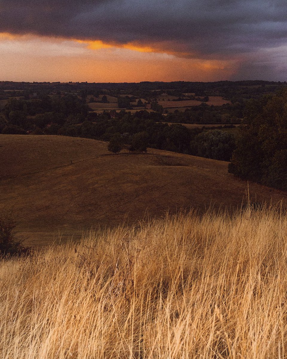 alexfelll's tweet photo. a summers evening in England https://t.co/Y2icPf8L9G