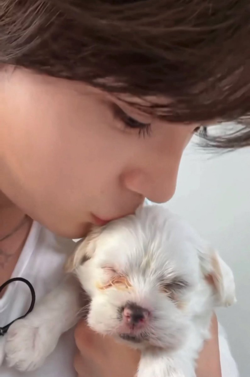 왈왈이의 보석함 업데이트 합니다