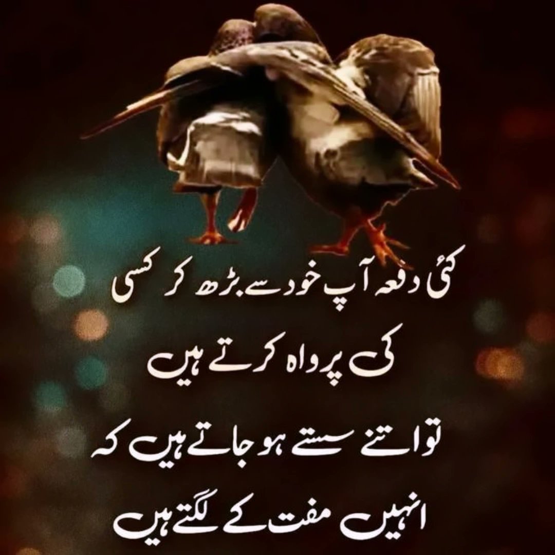 mano_samina's tweet photo. https://t.co/rzdxWF3P3Y