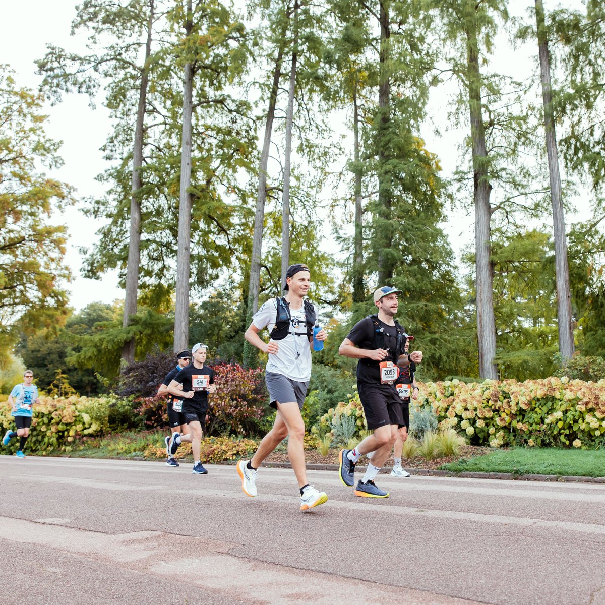 runin_lyon's tweet photo. Le parc de la Tête d’Or 🌳

The Tête d’Or Park 🌳

📸 A.S.O. / Morgan Bove https://t.co/HsBicknY9o
