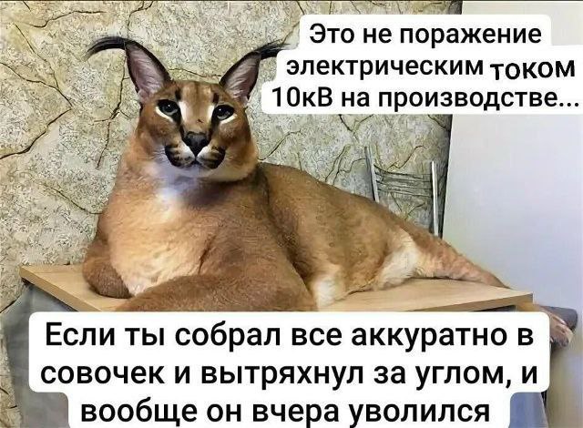 ⛧Шизослав Обдристайло⛧ (@svens_project) on Twitter photo 