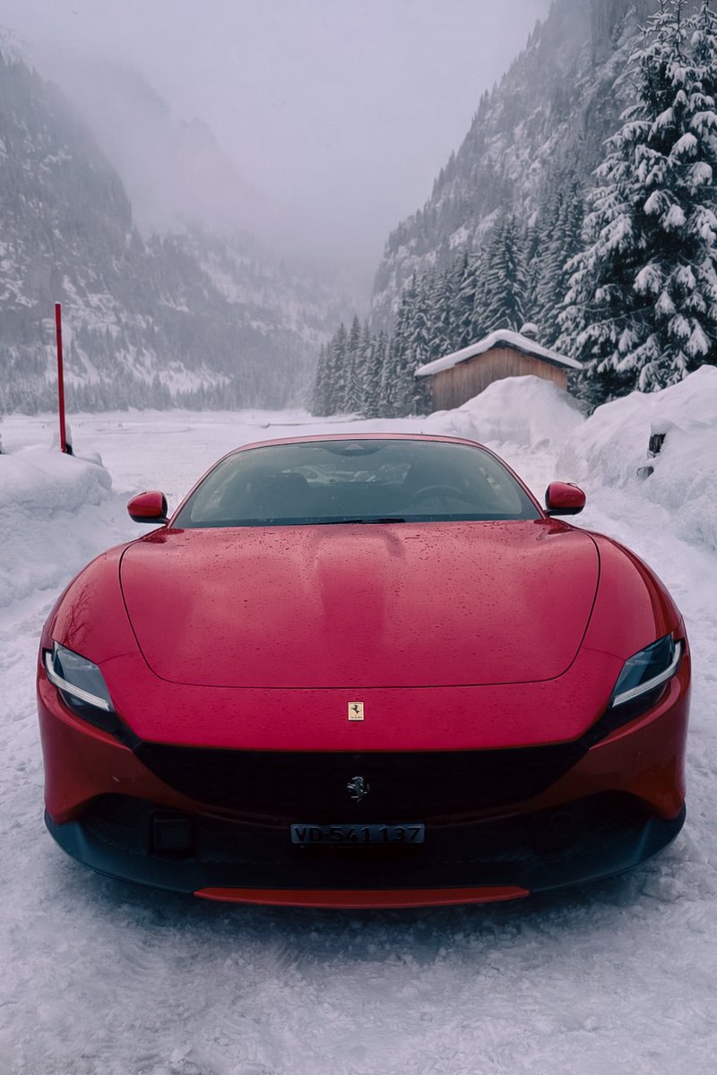 Carl Seki tweet media