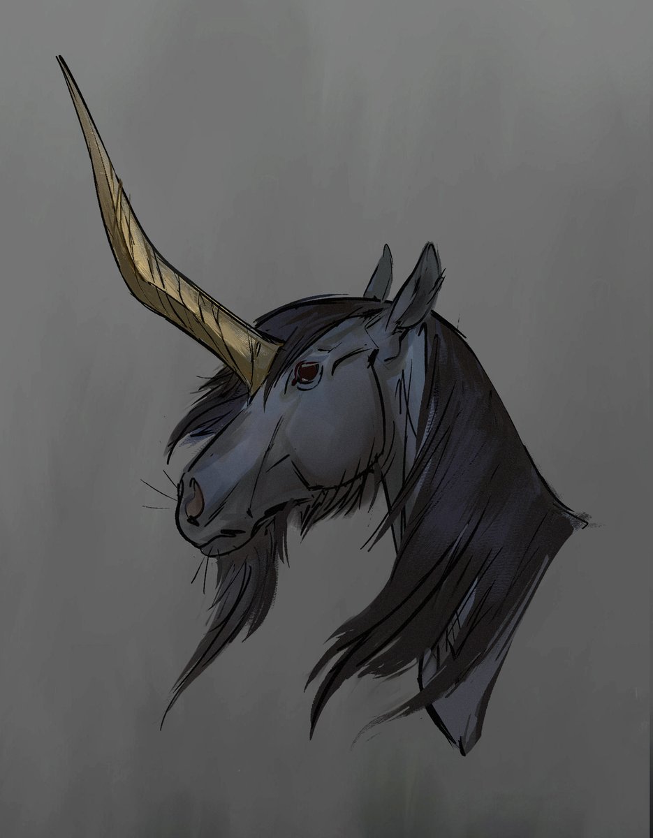 yumkrill's tweet photo. obligatory horsie warmup sketch https://t.co/InIV5mrQqf