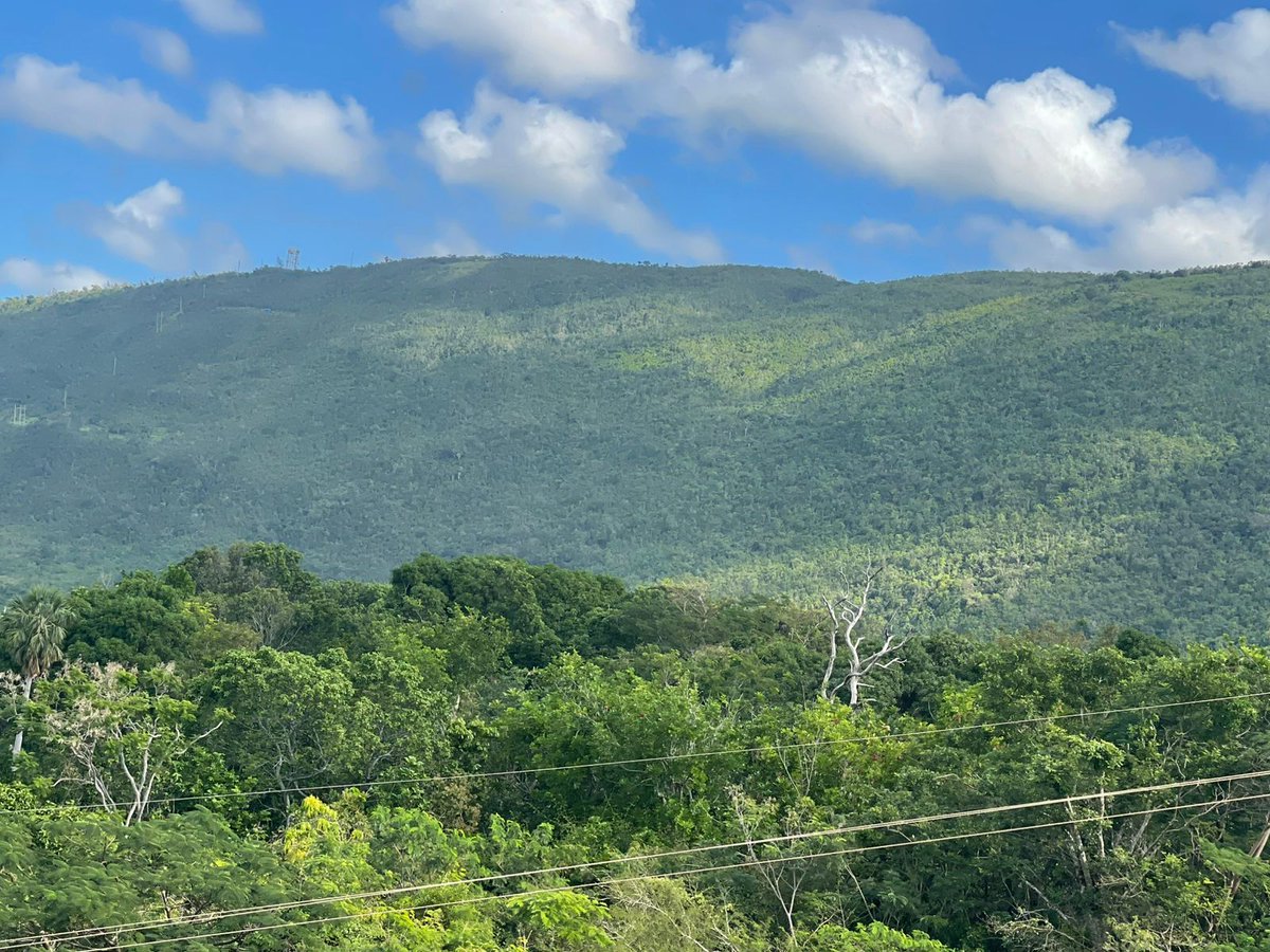 You may come to #Jamaica for an #adventure but you also come for the #naturalbeauty!
This is beautiful #StElizabethJamaica come on down and experience both here! <a href="/sainty876/">sainty876</a> 
IslandAdventuresbyGTours.com
#traveltojamaica  #mountains #excursions  #waterfalls #barintheocean #rumtours