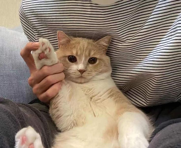 ️ㅤ 
️ㅤ 

️ㅤ 
️ㅤ 

️ㅤ 

️ㅤ 
️ㅤ 
️ㅤ 

️ㅤ 
️ㅤ 

️ㅤ 

️ㅤ 
️ㅤ 
️ㅤ 

️ㅤ 
️ㅤ 

️ㅤ 

️ㅤ 
️ㅤ 
️ㅤ 

️ㅤ 
️ㅤ 

️ㅤ 

️ㅤ 
️ㅤ 
️ㅤ 

️ㅤ 
️ㅤ 

️ㅤ 
️ㅤ 

️ㅤ 
️ㅤ 
️ㅤ 

️ㅤ 
️ㅤ 

️ㅤ 

️ㅤ 
️ㅤ 
️ㅤ 

️ㅤ 
️ㅤㅤ
ㅤㅤ