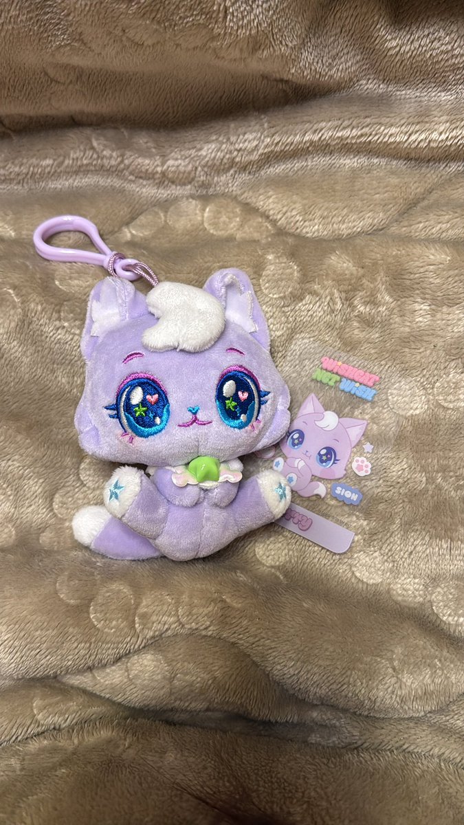 もふ子🎶 tweet media