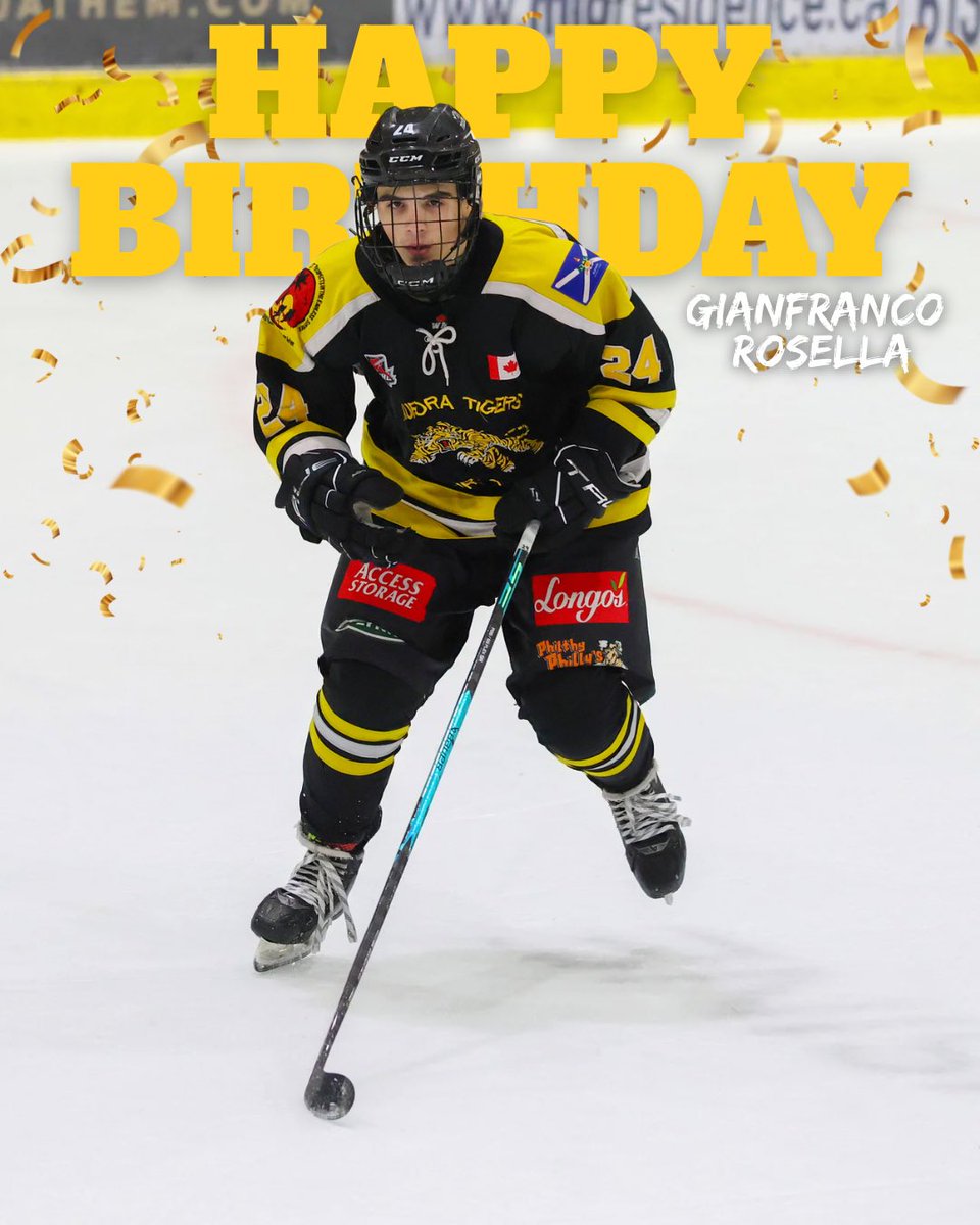 Serpa Automotive Aurora Tigers tweet media