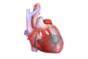 Abdulhamid tweet media