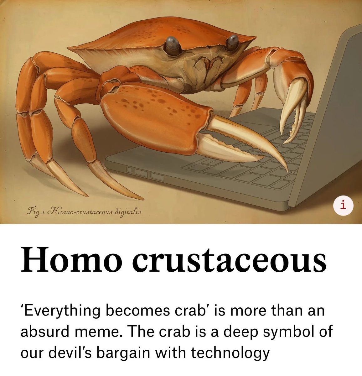 kingynott's tweet photo. Everyhing becomes crab

Its too deeper than just a meme 

Its how we are dealing with technology 

Human dark side is crab just like everything

We are meant to be $carcinized

7a9a9aCNLNg8H2MUNjtvJfDMV4FGAr9gokmgcgLipump https://t.co/RKTpPtOCH5