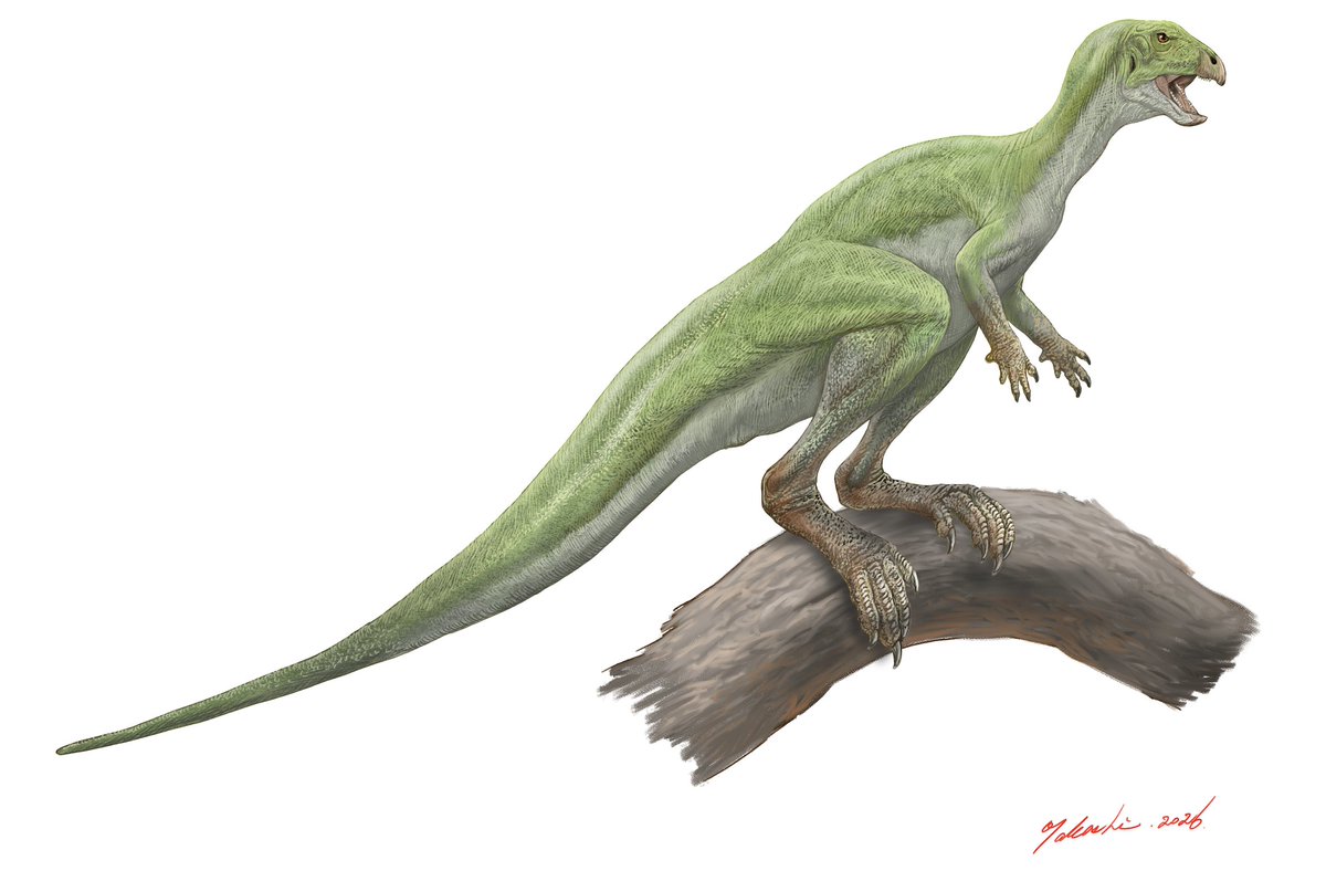 小田 隆 Oda Takashi tweet media