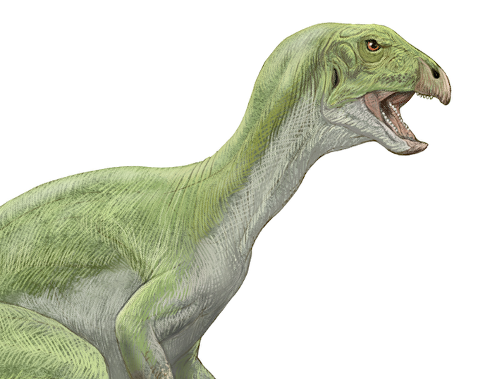 小田 隆 Oda Takashi tweet media