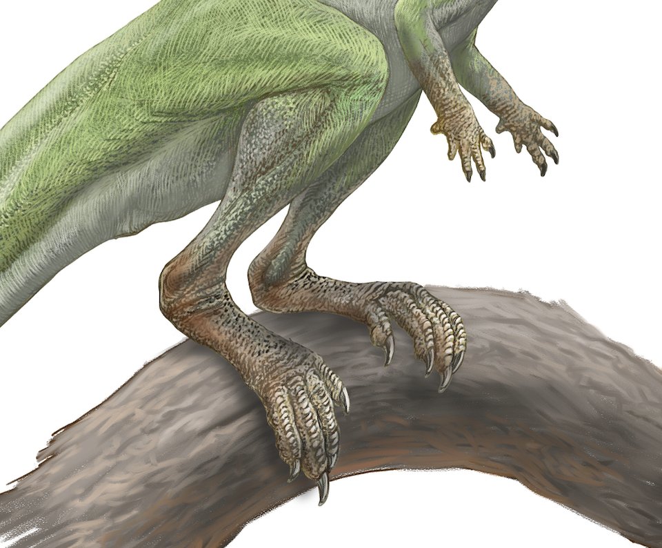 小田 隆 Oda Takashi tweet media