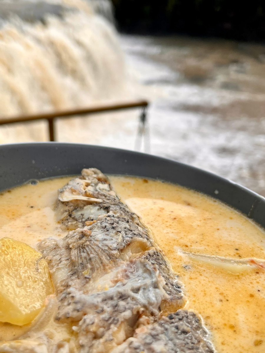 QuenriⓂ️ tweet media