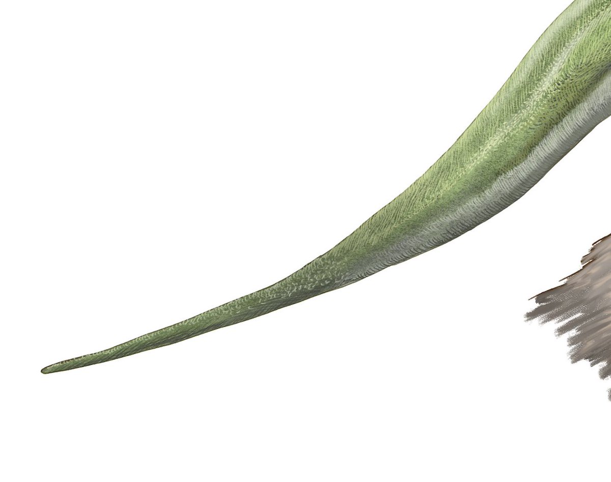 小田 隆 Oda Takashi tweet media