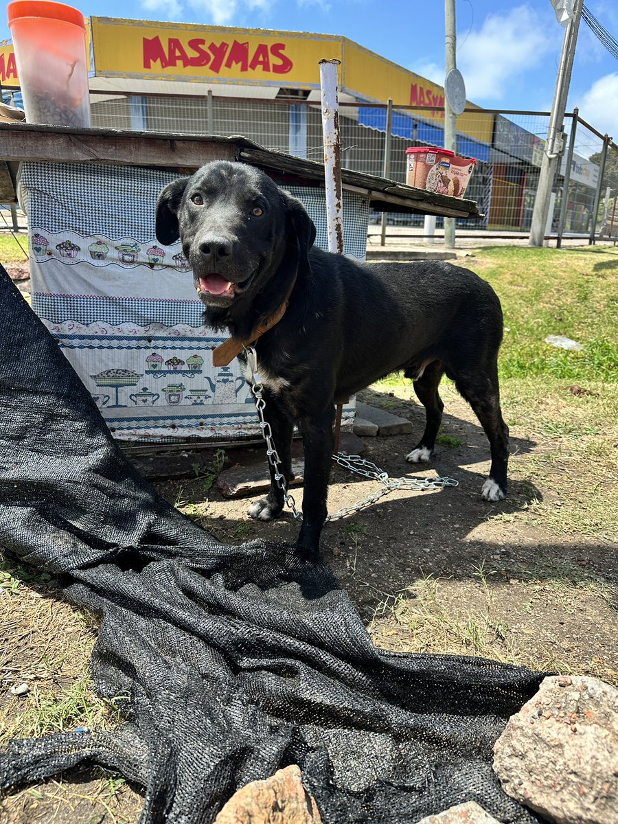 Luz 🎃 niña de sótano tweet media