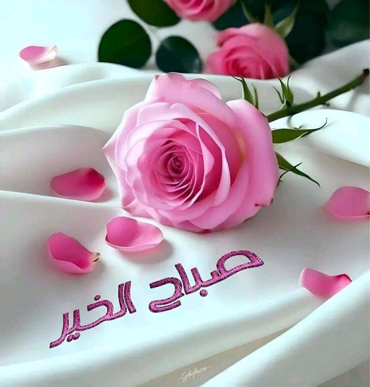 علي احمد Sed (@39_sed) on Twitter photo 