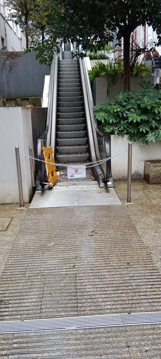 NunoCorriente's tweet image. #Día10

Reclamando al @ConcelloCoruna que reparen las escaleras mecánicas de Maestro Clavé, que llevan meses fuera de servicio.