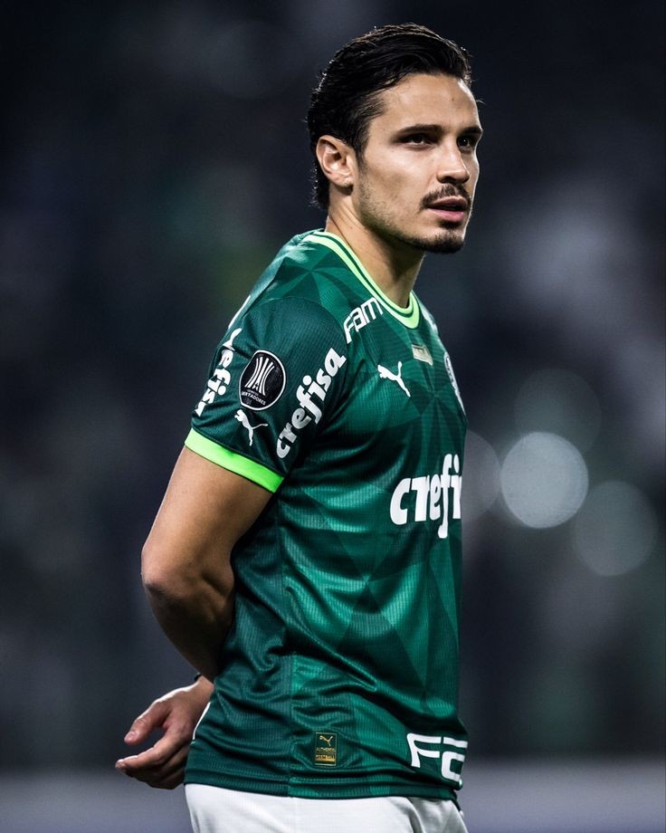 Noitedecopa's tweet photo. 𝗥𝗮𝗽𝗵𝗮𝗲𝗹 𝗩𝗲𝗶𝗴𝗮 𝗽𝗲𝗹𝗼 𝗣𝗮𝗹𝗺𝗲𝗶𝗿𝗮𝘀 :
  
⚔️ 384 Jogos
✅ 219 Vitórias
⚽ 110 Gols
🎯 56 Assistências
🅿️ 166 Participações G/A
  
🏆 2x Copa Libertadores
🏆 1x Recopa Sul-Americana
🏆 2x Campeonato Brasileiro
🏆 1x Copa do Brasil
🏆 1x Supercopa do Brasil
🏆 4x Campeonato Paulista
  
🎖️ 𝟮𝟬𝟮𝟬 - Craque da Copa do Brasil
🎖️ 𝟮𝟬𝟮𝟯 - Craque da Supercopa do Brasil
🎖️ 𝟮𝟬𝟮𝟯 - Craque do Paulistão
🎖️ 𝟮𝟬𝟮𝟭 - Seleção da América do Sul
🎖️ 𝟮𝟬𝟮𝟭 - Seleção da Libertadores
🎖️ 𝟮𝟬𝟮𝟭 - Seleção do Brasileirão
🎖️ 𝟮𝟬𝟮𝟯 - Seleção do Brasileirão
🎖️ 𝟮𝟬𝟮𝟰 - Seleção do Brasileirão
🎖️ 𝟮𝟬𝟮𝟬 - Seleção da Copa do Brasil
🎖️ 𝟮𝟬𝟮𝟮 - Seleção do Paulistão
🎖️ 𝟮𝟬𝟮𝟯 - Seleção do Paulistão
  
𝟮𝟬𝟭𝟳 - 22 Jogos, 02 Gols, 02 Assistências
𝟮𝟬𝟭𝟵 - 31 Jogos, 05 Gols, 02 Assistências
𝟮𝟬𝟮𝟬 - 57 Jogos, 18 Gols, 03 Assistências
𝟮𝟬𝟮𝟭 - 54 Jogos, 20 Gols, 07 Assistências
𝟮𝟬𝟮𝟮 - 46 Jogos, 19 Gols, 06 Assistências
𝟮𝟬𝟮𝟯 - 60 Jogos, 18 Gols, 18 Assistências
𝟮𝟬𝟮𝟰 - 58 Jogos, 21 Gols, 06 Assistências
𝟮𝟬𝟮𝟱 - 53 Jogos, 07 Gols, 12 Assistências
𝟮𝟬𝟮𝟲 - 03 Jogos, 00 Gols, 00 Assistência
  
O PRÍNCIPE DO PALESTRA 🟢⚪