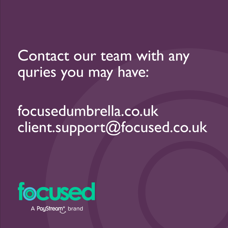 Focused Umbrella tweet media