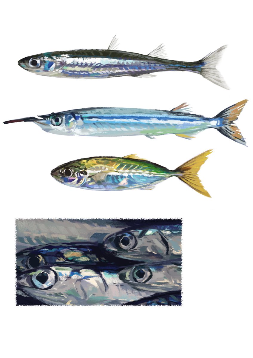 不知道有没有发过的鱼【练习