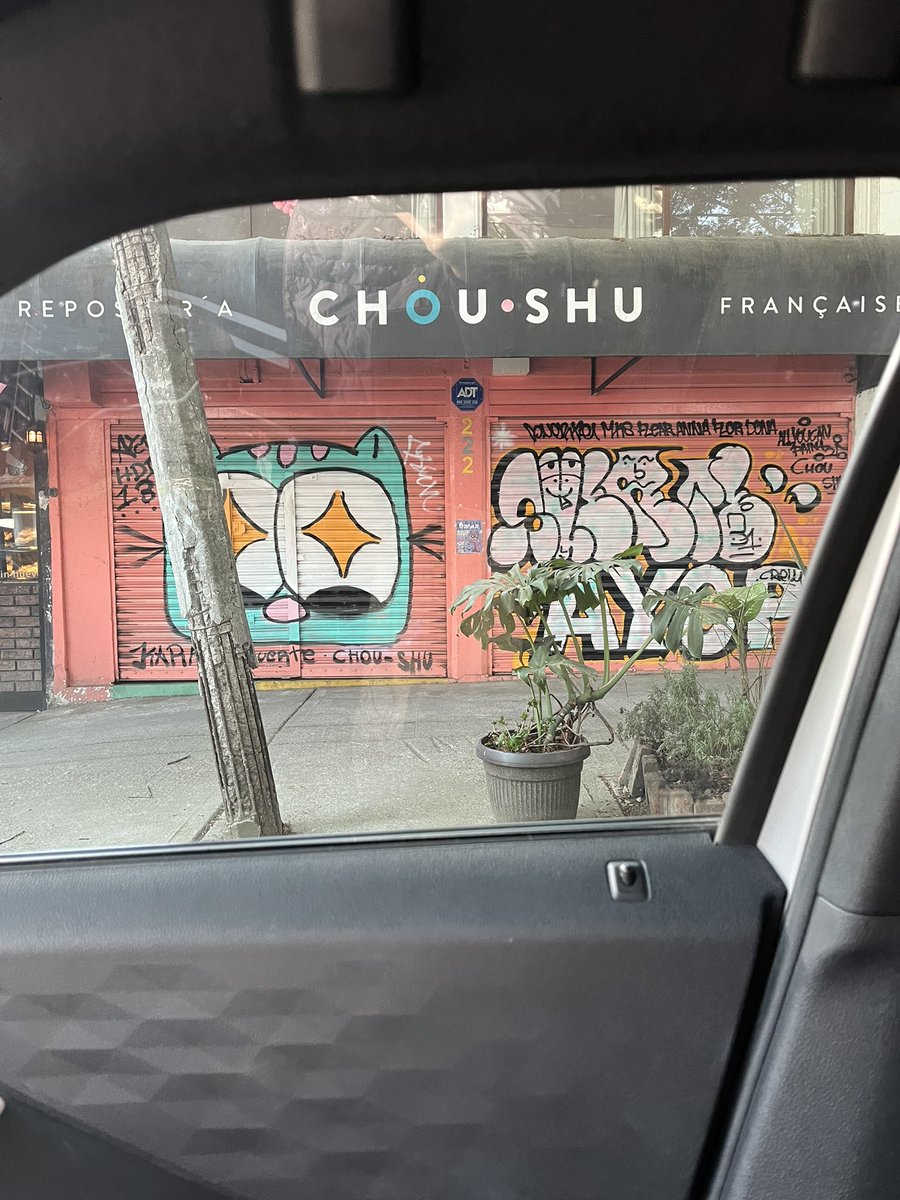 Ursula Camba tweet media