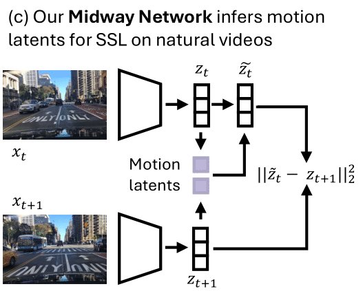 Chris Hoang tweet media