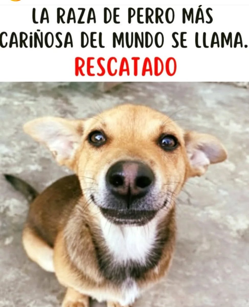 Más Ciencia (@msciencia2) on Twitter photo 