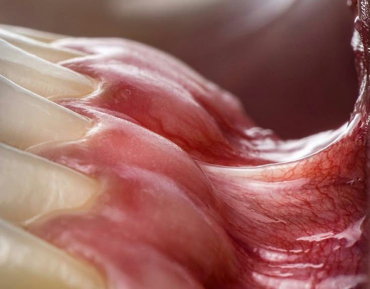 entropy (@ennntropy) on Twitter photo 