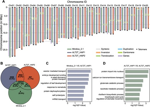 Hortres's tweet photo. Mango genomic study shows reference genome choice affects variant calling & analysis. Pangenome reduces bias best. #MangoGenomics #ReferenceBias @OxfordJournals
Details: https://t.co/I5LtZxa73S https://t.co/TubzUAYbb4