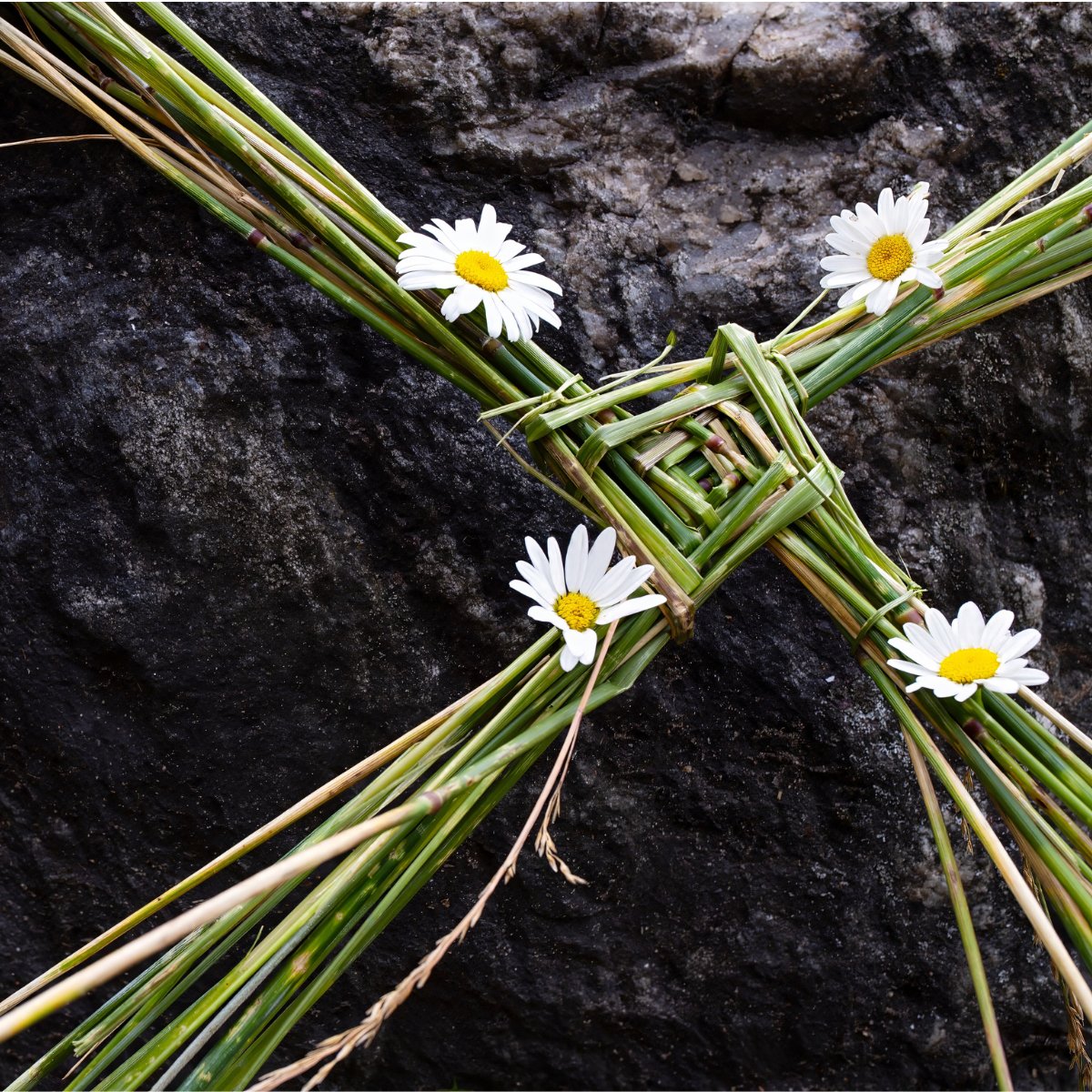 Local Government Ireland tweet media