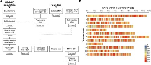 Hortres's tweet photo. MEGGIC, a new eggplant MAGIC population, reveals genetic diversity & root trait insights. Wild germplasm boosts resilience. #EggplantGenetics #RootTraits @OxfordJournals
Details: https://t.co/5olEOOfpgv https://t.co/mQBNINaisO