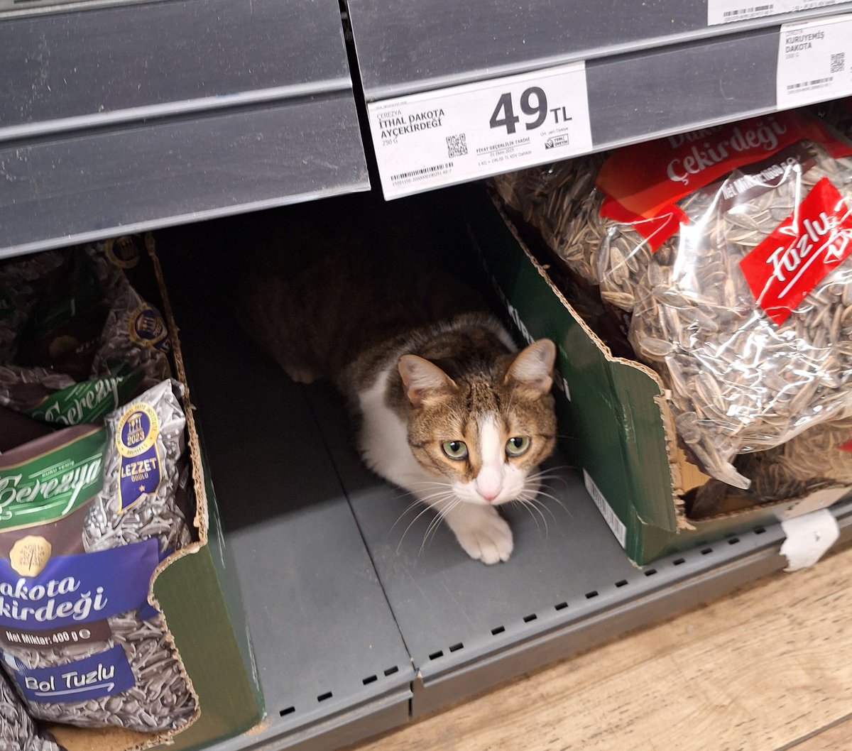 İyice zamlandı bunlar