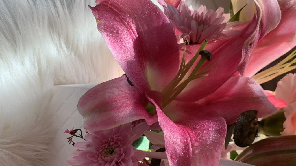 L❄️VE tweet media