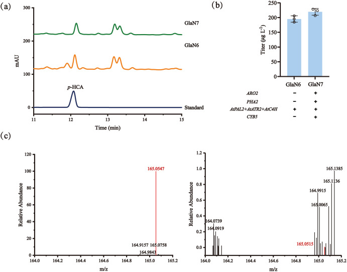 BioDesign Research tweet media