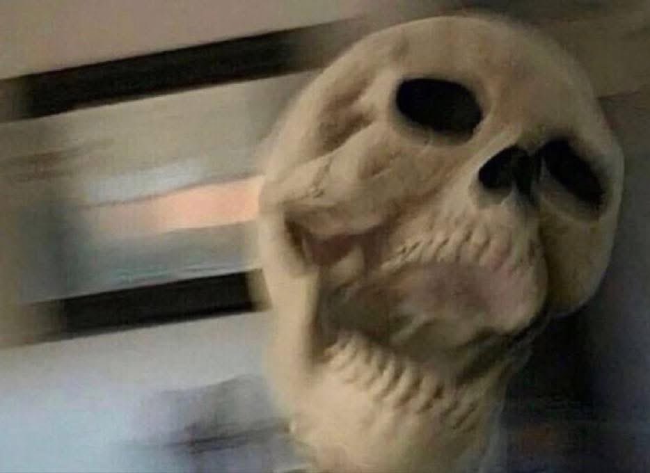 THE DUKE OF MADRID tweet media