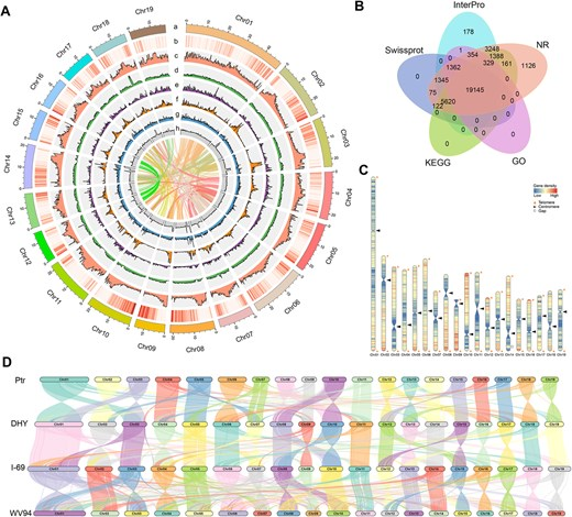 Hortres's tweet photo. GS breeding boosts poplar improvement, using T2T genome &amp; optimal models. High PA achieved, accelerating cycles. #PoplarBreeding #GenomicSelection @OxfordJournals 
Details: https://t.co/83zRpSUnvq https://t.co/CptzxfWztU