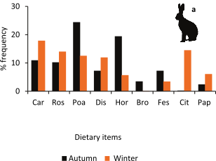 World Lagomorph Society tweet media