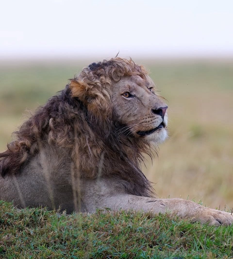 Theodore St. KillGore tweet media