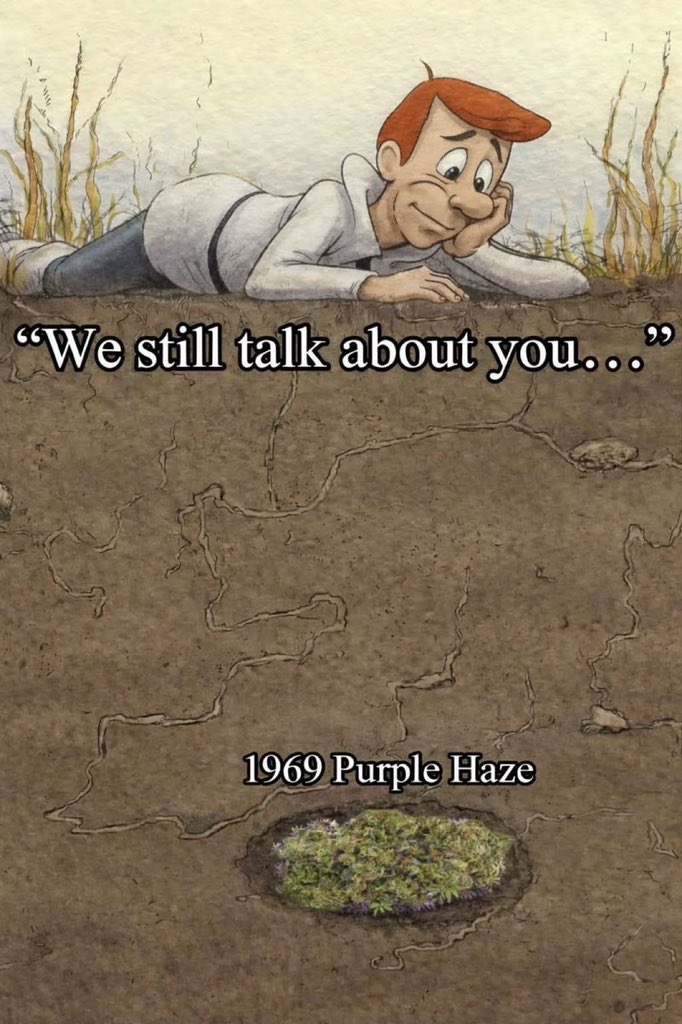 Stoner Barbie (@stonersvilla) on Twitter photo 