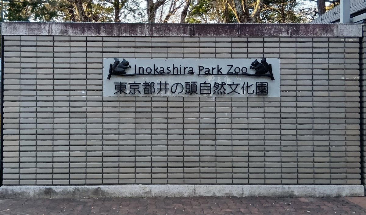 2026.1.30㈮🐭🚗〜
(*'ω'*)ﾊｼﾞﾒﾏｼﾃ♥
#カピ活