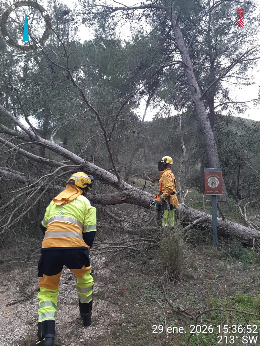 Servei Bomber(e)s Forestals GVA tweet media