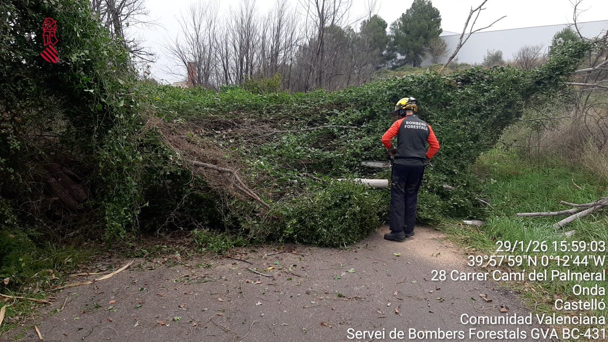 Servei Bomber(e)s Forestals GVA tweet media